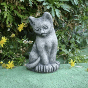 Sitting Kitten